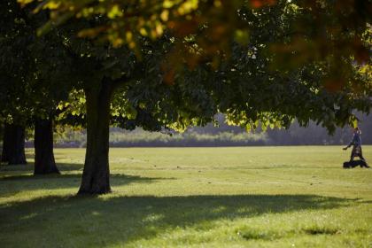 Mandarin Oriental Hyde Park - image 18