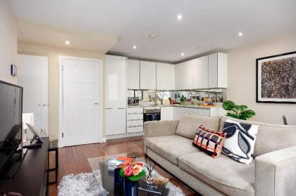 One Bedroom Serviced Apartment in Holborn Chancery Lane - image 2