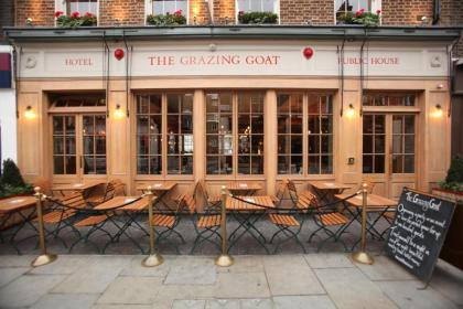 The Grazing Goat - image 13