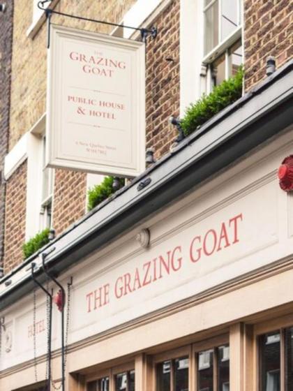 The Grazing Goat - image 7