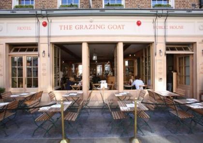 The Grazing Goat - image 8