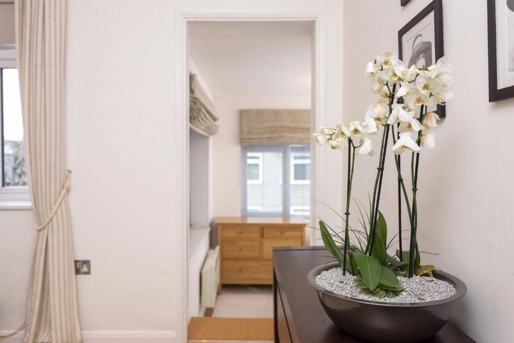 Professionally Cleaned 1 Bed flat in South Kensington - image 7