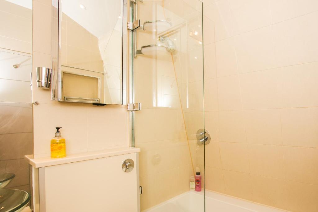 1 Bedroom Flat in Knightsbridge Sleeps 2 - image 7