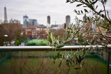 Contemporary 1 Bedroom Flat with Stunning London View - image 19