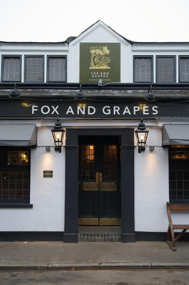 Fox and Grapes - main image