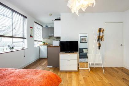 Studio Flat near Victoria Station - image 15