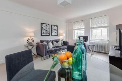 Bright Two Bedroom Apartment in Chelsea (43) - image 6