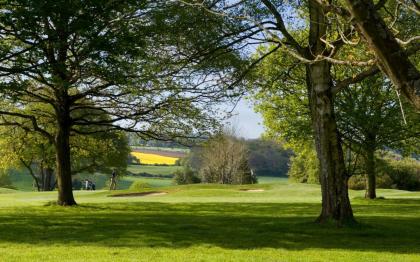 The Lodge at Kingswood - image 12