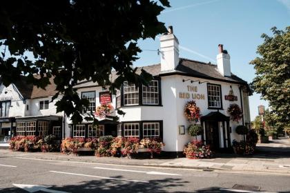 The Red Lion Hotel - image 12