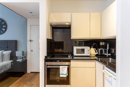 Marylebone Studio Flat - image 12