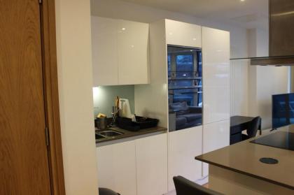 Luxury Canary Wharf Apartment (Panoramic Views) - image 3