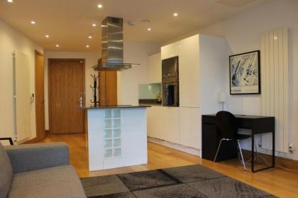 Luxury Canary Wharf Apartment (Panoramic Views) - image 4