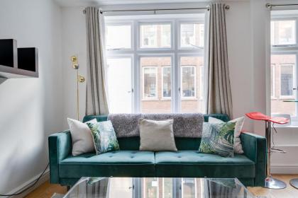 Lovely Charing Cross Apartment - image 2