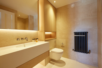 Luxurious Covent Garden Penthouse - image 14