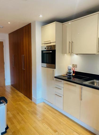 Studio Apartment Canary Wharf London - image 7