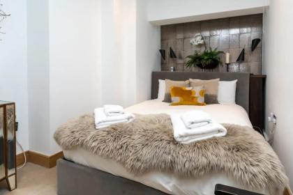 Luxurious 2 Bedroon Flat in the Heart of London - image 18