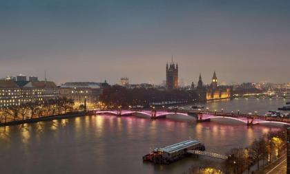 Hyatt Regency London Albert Embankment - image 20