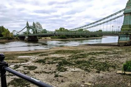 Serene 3BD Flat view of the Thames - Hammersmith - image 16