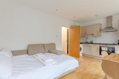 Bright and Spacious 1BD Flat - Camden - image 4