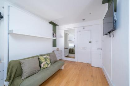 Chelsea London - Lovely Studio Apartment - image 15