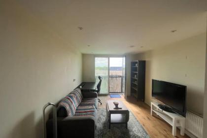 Modern 1BD Flat - 5 min walk to Battersea Park! - image 3