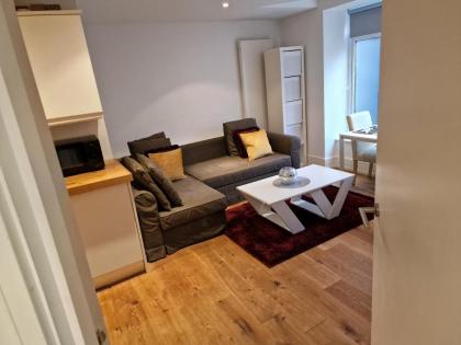 Lovely 1-Bed Apartment in London - image 13