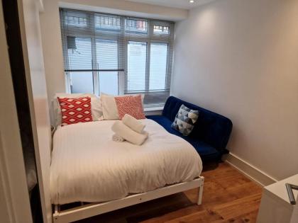 Lovely 1-Bed Apartment in London - image 16