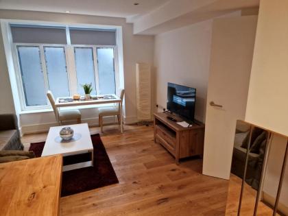 Lovely 1-Bed Apartment in London - image 6