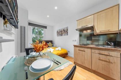 Serviced Studio Flat in Paddington London W2 - image 11