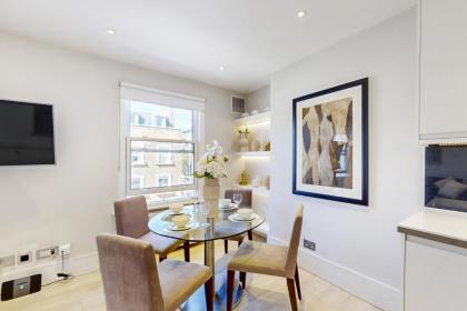 Park Lane Apartments Marylebone - image 19