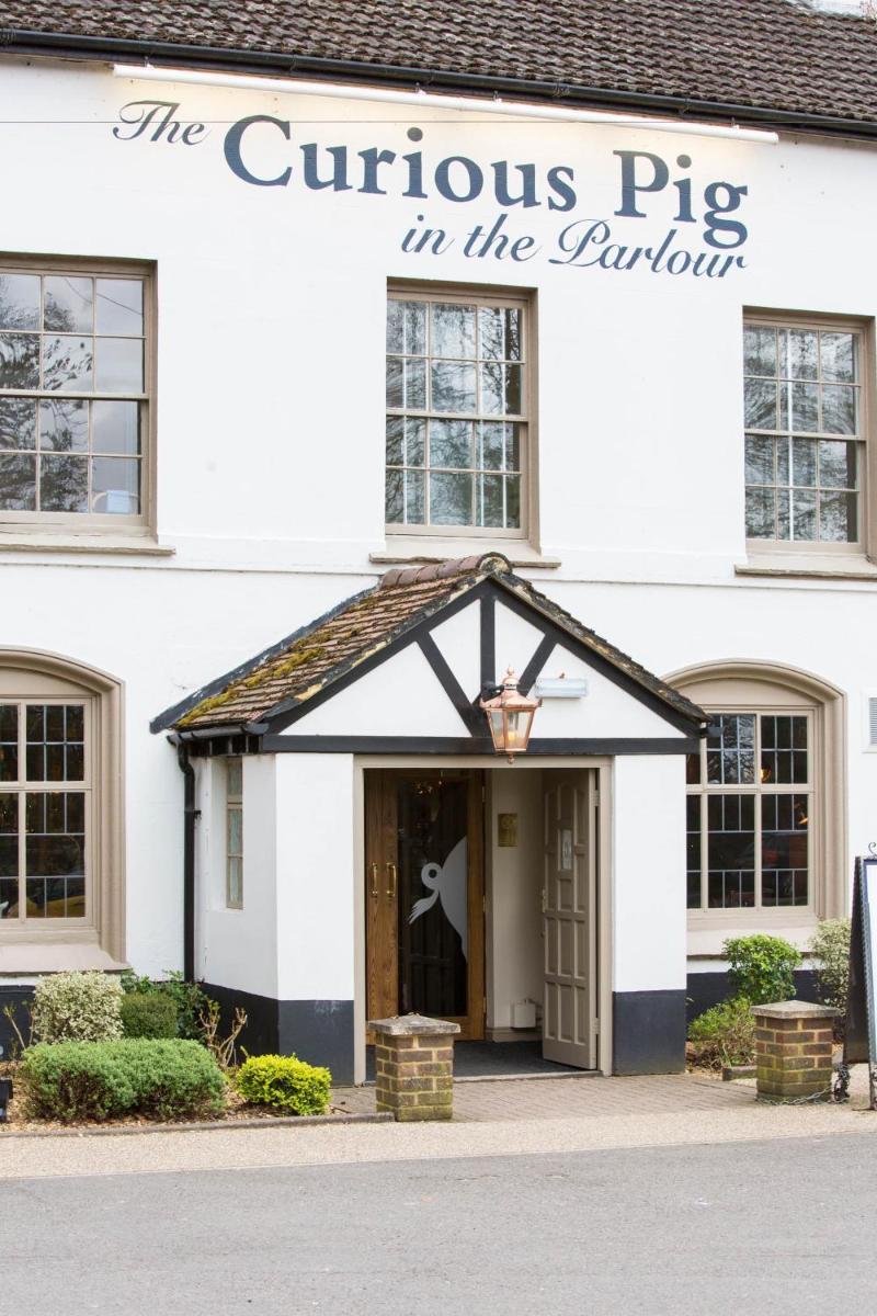 The Curious Pig in the Parlour - main image