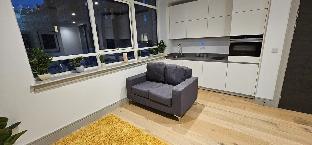 Studio Flat in Tottenham - image 7