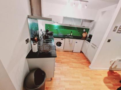 Deluxe 2-Bed Apartment Near Shoreditch - image 18