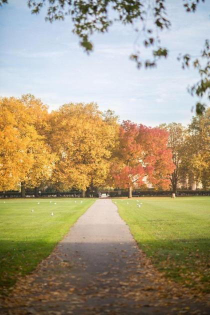 Regent’s Park Apartment - image 12